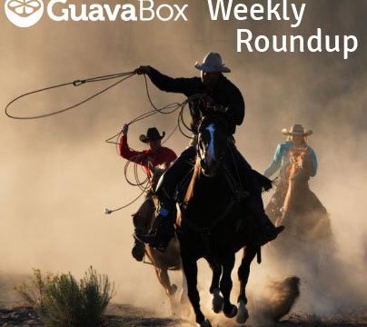 Email Marketing, Mobile Marketing, & More | GuavaBox RoundUp