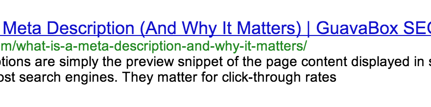 What Is A Meta Description (And Why It Matters)